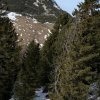 IMG_4347