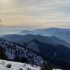 IMG_4356