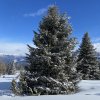 IMG_4572