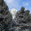 IMG_4576